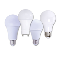 Ampoules LED Type-A